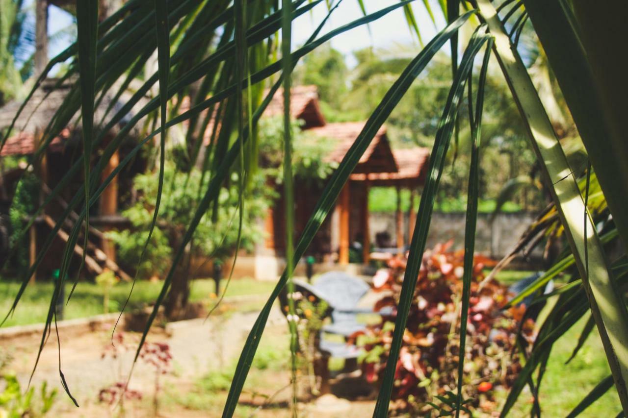 Clay House Ξενοδοχείο Udawalawe Εξωτερικό φωτογραφία